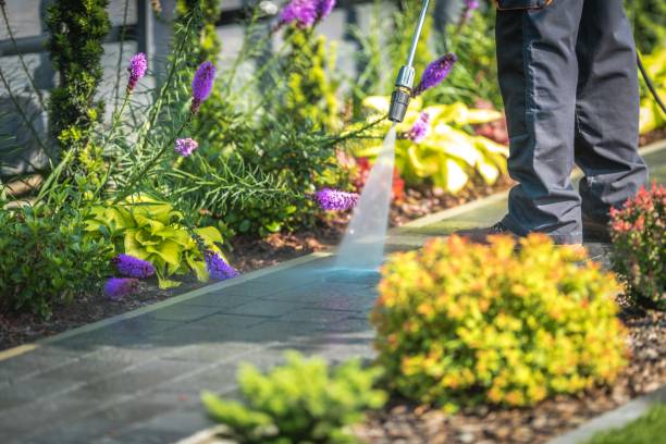 Best Parking Lot and Garage Cleaning  in Delhi, CA